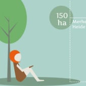«Infografik über Köln. Parks und Grünanlagen» de Illus | Icons | Infografiken