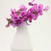 «Glarner Vase» de Drache & Bär Designstudio