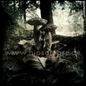 “Im Herbst – Pilze am Wegesrand” from Anja Stolzenberger