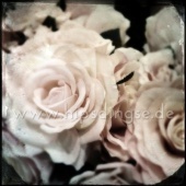 “Kunstblumen” from Anja Stolzenberger