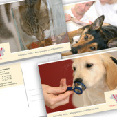 «Tierklinik Walluf – Flyer und Postkarten» de Pohl Kommunikationsdesign