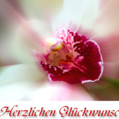 “Grußkartendesign” from Ursula Di Chito