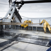 «Reportage» de Emanuel Herm