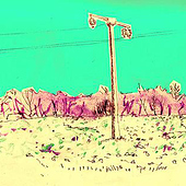 „Quer-Feld-Ein“ von Niels Walter