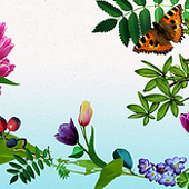 «Web Design» de Ekaterina Batalova