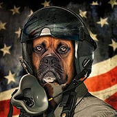 „FREE: The Dogfighter“ von Man-Made-Art Postproduction