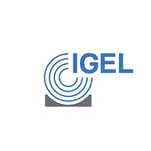 «Igel AG» de Sebastian Baumann