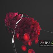 „3d animated blood flow (V-Ray) – Windkessel effe“ von Anima Res