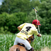 “POLO” from Sarah Dulay Photography