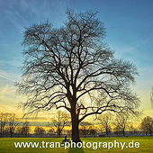 «Landschaft-Architektur» de Tran-Photography