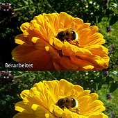 “Fotobearbeitung” from Bettina Hamann