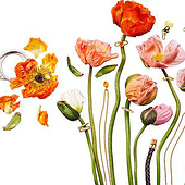 “Blumen und Schmuck” from Elke Stankewitz