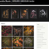 „Webdesign | Heimseiten“ von Laetitia Mantis