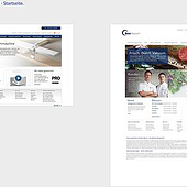 “Webseite Facelift” from Vladimir Kolomiets