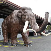 „Das 4-Meter-Mammut“ von Martin Bremm