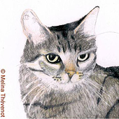 «Katzen» de Melina Thévenot