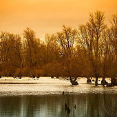 “landscape” from Kalina S. Engel