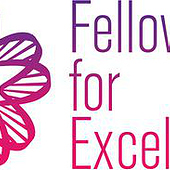 «Fellowships for Excellence» von Mario Metzler