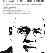 «Walter Gehring Lecture» von Mario Metzler