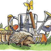 «Ab ins Beet» von Sara Otterstätter