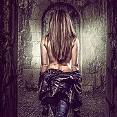 «Composing/Special Design» de SD-Pictures