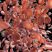 „Blutkörperchen mit Krebszellen“ von Med Visual