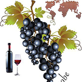 „Logo für eine internationale Weinprobe“ von dmpd digital