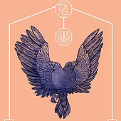 «Illustration Nordmensch» von Hannah Honnef