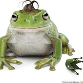 «digitale Bildbearbeitung und High End Composings» de Bildschoen Katrin Schweizer