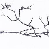„Life of a Tree“ von Luna Sconty LLC
