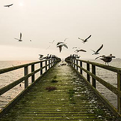 «Landschaft» de Sofia Tolordava