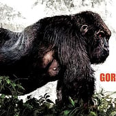 „Gorilla“ von Ben Rennen