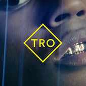 «TRO Website» de Gooqx