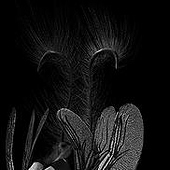 «Sci-Fi Sculpting» von Sarah Kapodistria