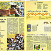 „Kinderseite über Bienen im nd“ von eva-setzt.de