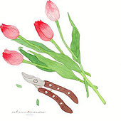 “Blumen und Garten” from Rebecca Roeder
