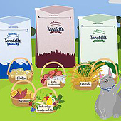 “Erklärvideos” from .mattomedia