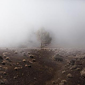 „One Foggy Day – Tenerife“ von Wimmer, Caroline