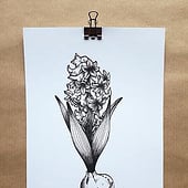 „Florales Line Art“ von Katharina Machner