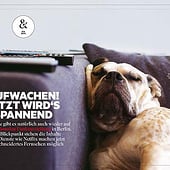 “Arbeiten für Stern” from bild und grafik