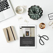 „No6“ von Lena Wenzel