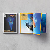 „Editorial Design „Wwf Magazin““ von Vierzehnneunzehn Grafische Gestaltungen