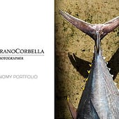 «Juan Serrano Corbella Gastronomy Portfolio» de Juan Serrano Corbella