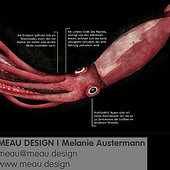 “„Elftausend“ Editorial Design / Buchillustration” from Melanie Austermann