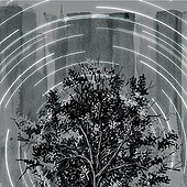 „Der Baum denkt“ von Lukas Kummer