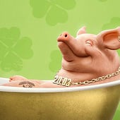 „Lotto Glücksschwein“ von Rüdiger Lauktien