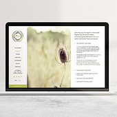 „Coaching Website & CI Design“ von Juliane Jeske