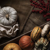 „Autumn Editorial – Pumpkin“ von Studio Schneckenhaus