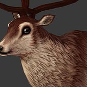 „Low Poly Red Deer / Lowpoly Hirsch“ von Van Nguyen