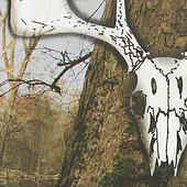 “Weil Bogdan in Großvaters Rucksack stieg…” from Aleksandra Koneva